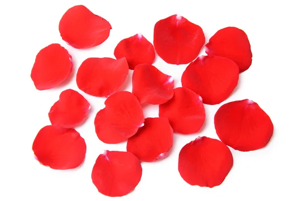Hermosos pétalos de rosas rojas aisladas en blanco — Foto de Stock