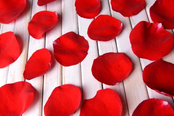 Bellissimi petali di rose rosse su sfondo di legno — Foto Stock