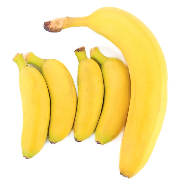 白で隔離されるミニのバナナの束 — ストック写真