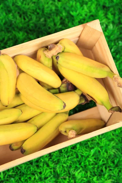 Bunch of mini bananas in wooden box on green grass background — Stock Photo, Image