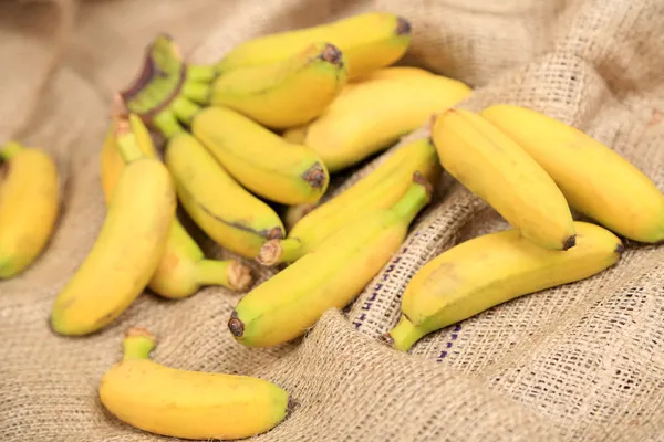 Mazzo di mini banane su sfondo sacco — Foto Stock