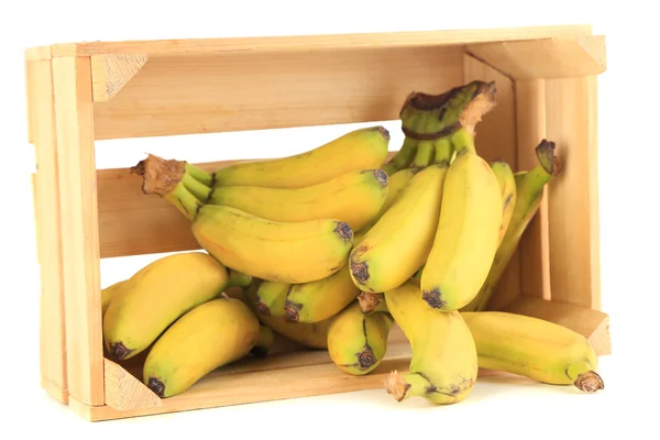 Bunch of mini bananas in wooden box isolated on white — Stock Photo, Image