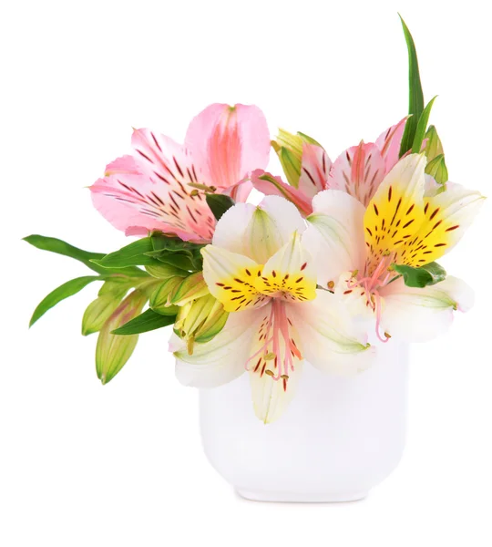 Alstroemeria flowers in vase isolated on white Stock Picture