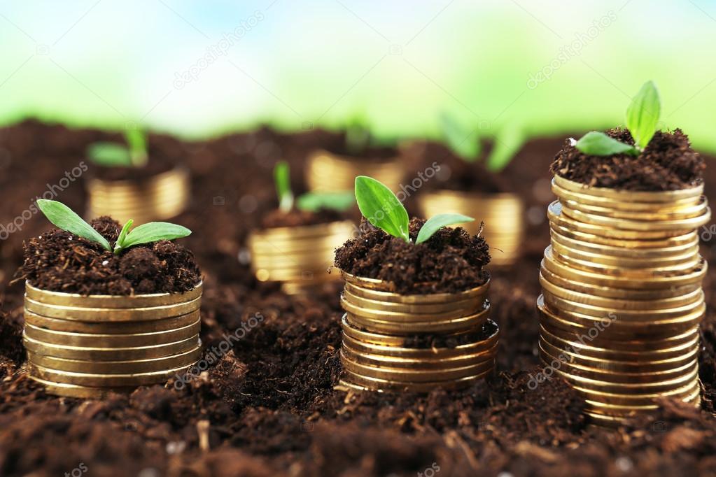 Business concept: golden coins in soil with young plants on nature background