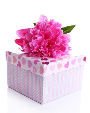 üzerinde beyaz izole güzel peony çiçek ve hediye kutusu