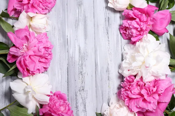 Krásné růžové a Bílé pivoňky na barevné dřevěné pozadí — Stock fotografie