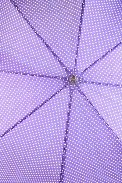 Purple umbrella, close up — Stock Photo, Image