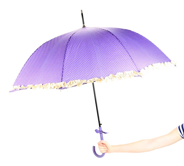 Guarda-chuva roxo, close-up — Fotografia de Stock