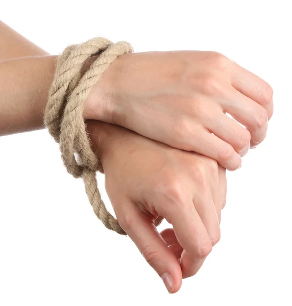 Tied hands, isolated  white — Stock Photo, Image