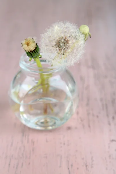 Dandelions flowers on old wooden background — Stock Photo, Image