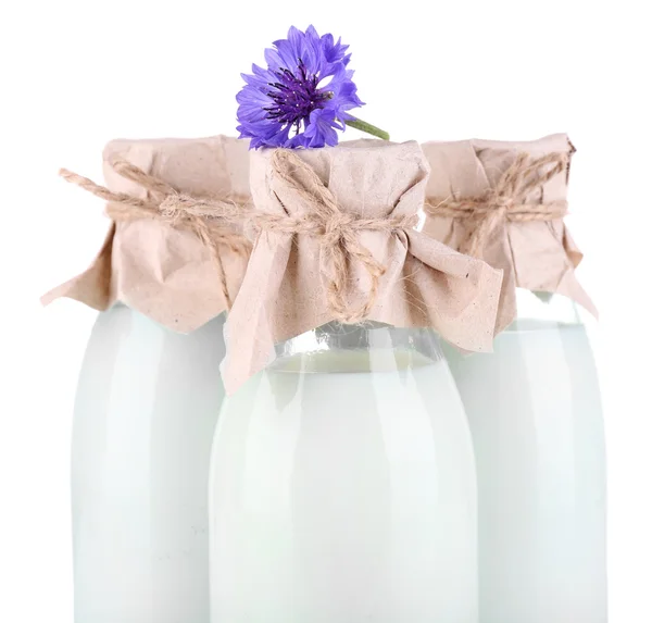 Flessen met melk en korenbloemen, geïsoleerd op wit — Stockfoto