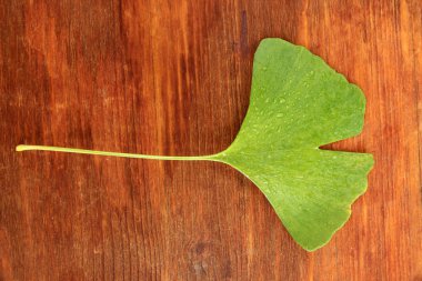 Ginkgo biloba leaf on wooden background clipart