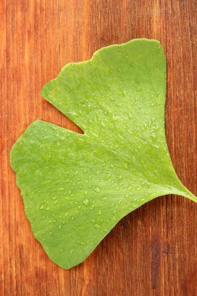 Ginkgo biloba leaf op houten achtergrond — Stockfoto
