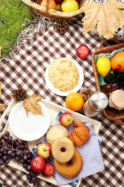 Picnic al aire libre de cerca — Foto de Stock