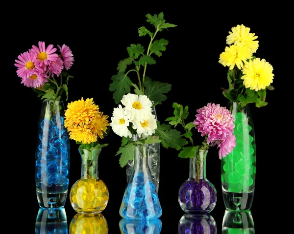 Mooie bloemen in vazen met hydrogel geïsoleerd op zwart — Stockfoto
