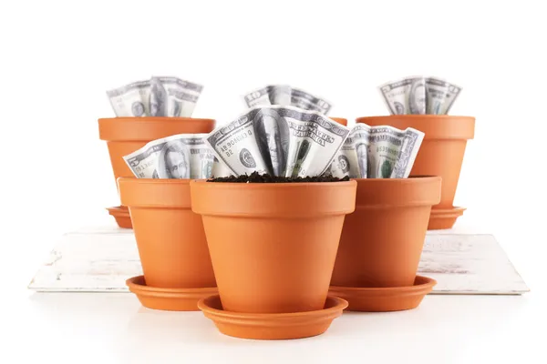 Bedrijfsconcept: groeiende geld in de bloempotten, geïsoleerd op wit — Stockfoto