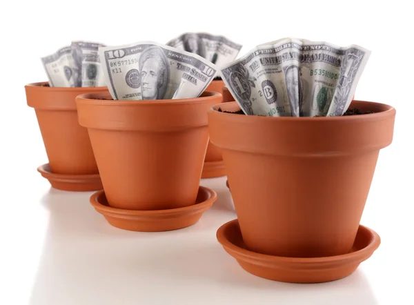 Concept d'entreprise : cultiver l'argent dans les pots de fleurs, isolé sur blanc — Photo
