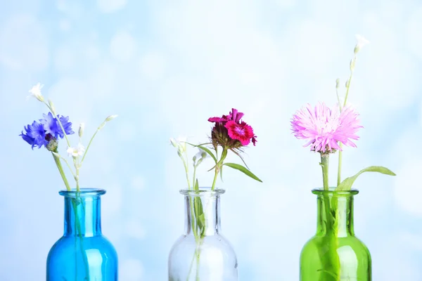 Flores silvestres brillantes en botellas sobre mesa de madera, sobre fondo claro —  Fotos de Stock