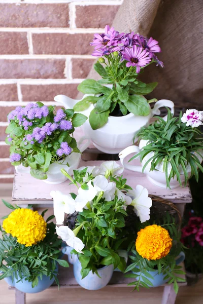 Blommor i dekorativa krukor på trä stege, på tegelstenar bakgrund — Stockfoto