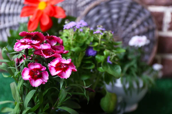 Fleurs dans des pots décoratifs et des outils de jardin sur fond d'herbe verte — Photo