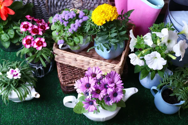 Flores em vasos decorativos e ferramentas de jardim no fundo de grama verde — Fotografia de Stock