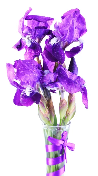 Purple iris flowers in vase, isolated on white — Stock Photo, Image
