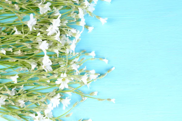 White wildflowers on color wooden background — Stock Photo, Image