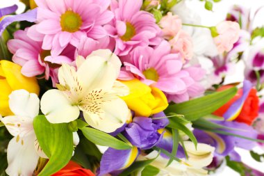 Güzel çiçekler kapanıyor.