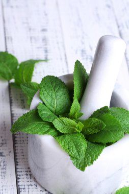 renkli ahşap zemin üzerine harç içinde taze yeşil nane