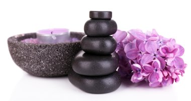 spa taşlar ve eflatun çiçekler, üzerinde beyaz izole kompozisyonu