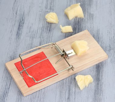 Ahşap arka planda peynirli fare kapanı