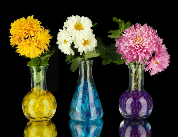 Güzel çiçek vazo siyah izole hidrojel ile — Stok fotoğraf