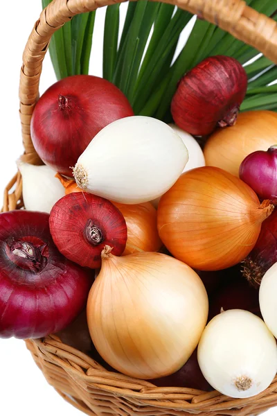 Cebolla cruda diferente, aislada en blanco — Foto de Stock