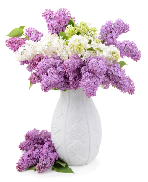 Hermosas flores lila en jarrón aislado en blanco — Foto de Stock