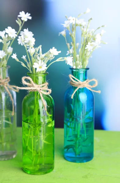 Białe kwiaty w butelkach na drewnianym stole, na jasnym tle — Zdjęcie stockowe
