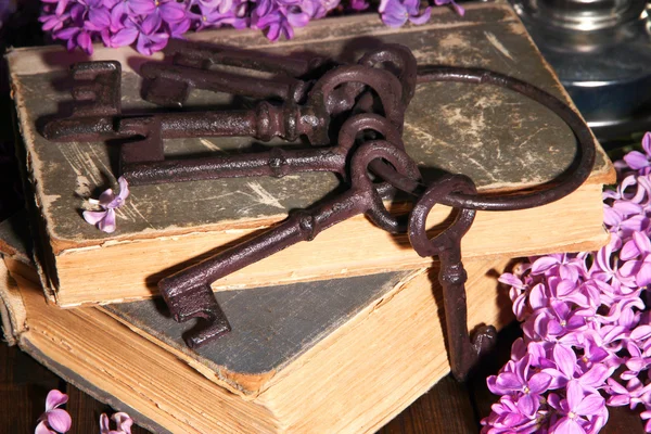 Beautiful composition with old keys and old books — Stock Photo, Image