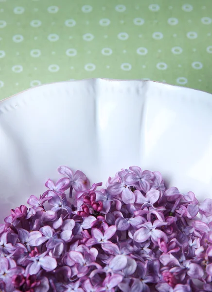 Schöne lila Blumen auf weißem Teller auf farbigem Tischtuch Hintergrund — Stockfoto