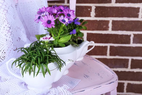 Flores em vasos decorativos na cadeira, no fundo de tijolos — Fotografia de Stock