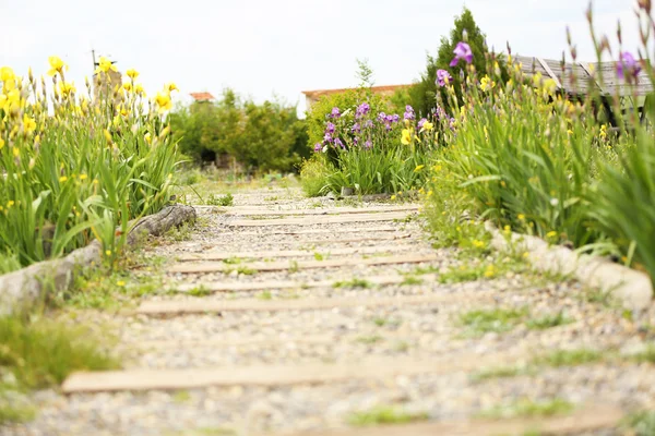 Sentier dans le jardin, gros plan — Photo