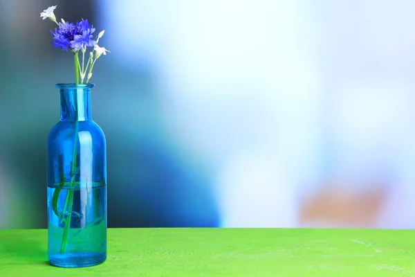 Bright wildflower in bottle on wooden table, on light background — Stock Photo, Image