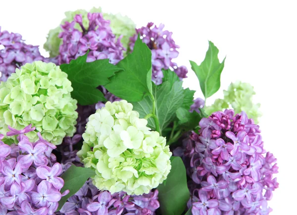 Belles fleurs printanières dans un vase isolé sur blanc — Photo