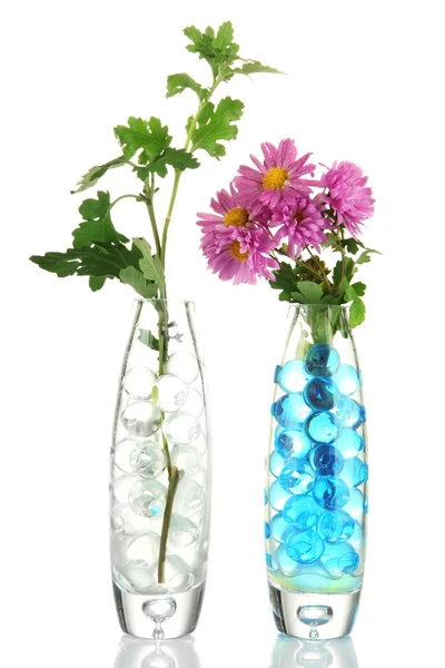 Vackra blommor i vaser med hydrogel isolerad på vit — Stockfoto