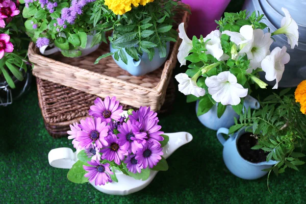 Fleurs dans des pots décoratifs et des outils de jardin sur fond d'herbe verte — Photo