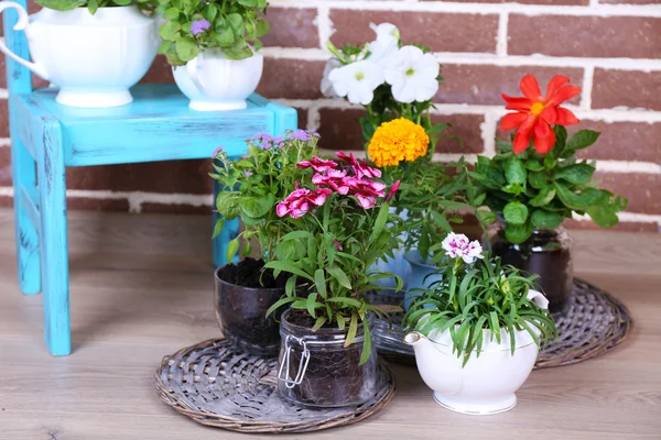 Flowers in  decorative pots on chair, on bricks background — Stock Photo, Image