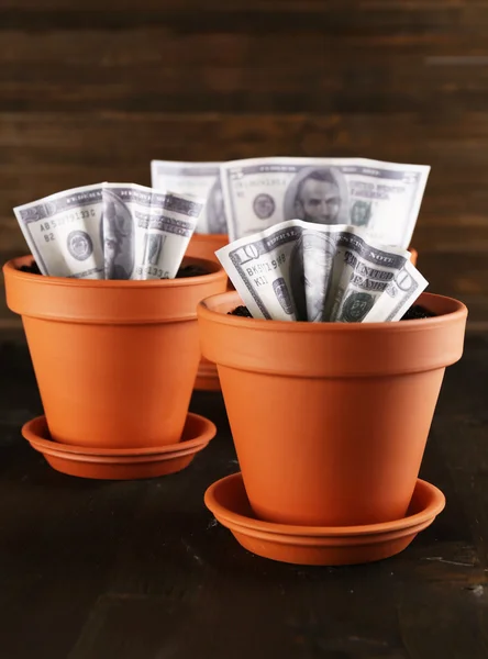 Concept d'entreprise : augmenter l'argent dans les pots de fleurs sur la table — Photo