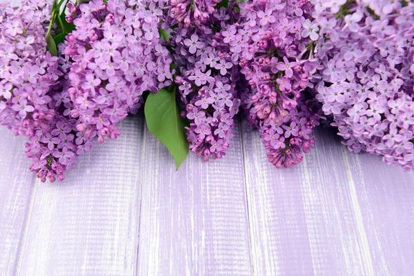 Krásné šeříkové květy na dřevěném pozadí — Stock fotografie