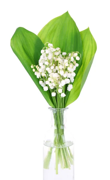 Beautiful lilies of the valley in glass bottle, isolated on white — Stock Photo, Image