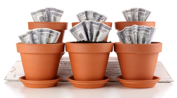 Konsep bisnis: tumbuh uang di pot bunga, terisolasi di atas putih — Stok Foto
