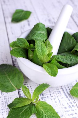 renkli ahşap zemin üzerine harç içinde taze yeşil nane