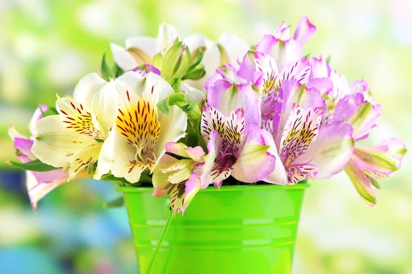 Bouquet of freesias in pail on natural background — Stock Photo, Image